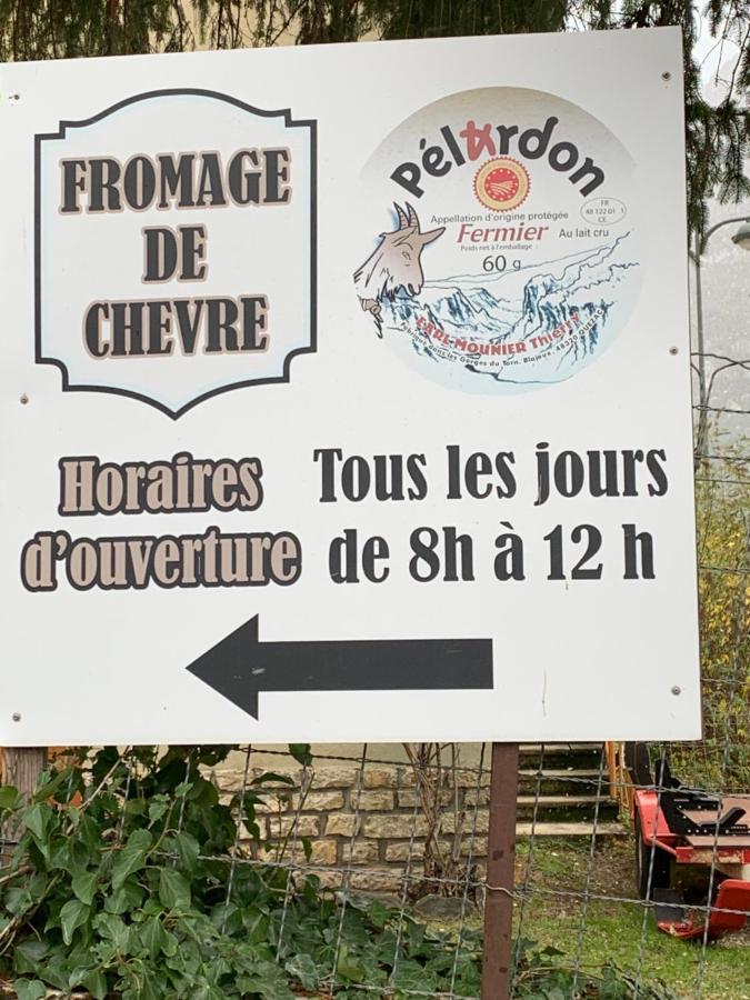 La Voutee 5 Epis Avec Bain Finlandais Prive Au Manoir Du Charme Gorges Du Tarn Bed & Breakfast Quezac  Ngoại thất bức ảnh